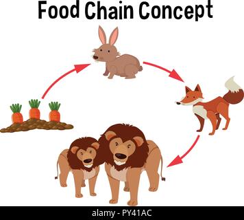 Food chain concept diagram illustration Stock Vector