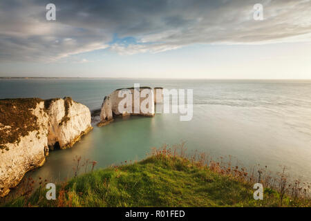 Old Harry Rocks from Ballard Down, Swanage, Dorset, England Stock Photo