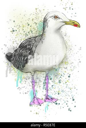 seagull illustration art Stock Photo