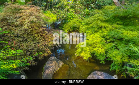 Beautiful japanese garden architecture near Kyoto Stock Photo