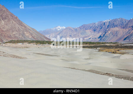 Sand dunes in the area of Hunder, Nubra Valley, Ladakh, Jammu and Kashmir, India Stock Photo