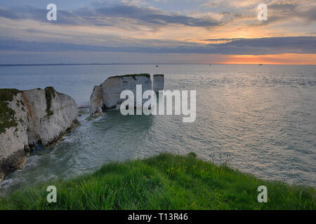 Old Harry Rocks at sunrise. Old Harry Rock, Isle of Purbeck, Jurassic Coast, Dorset, UK, England. Stock Photo