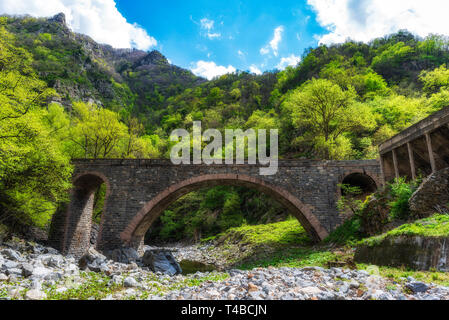 Stone bridge over small mountain river, green forest in background Stock Photo