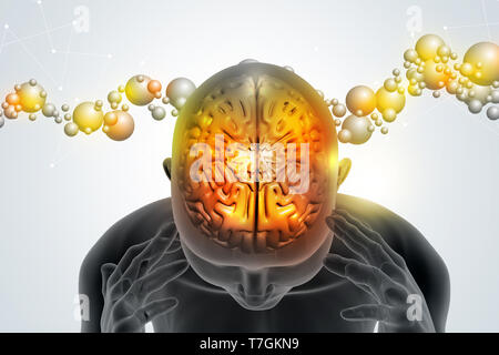 Man head showing the human brain Stock Photo