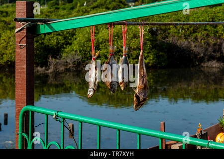 Fish Drying In The Sun Outside A House, Tai O Fishing Village, Hong Kong, China Stock Photo