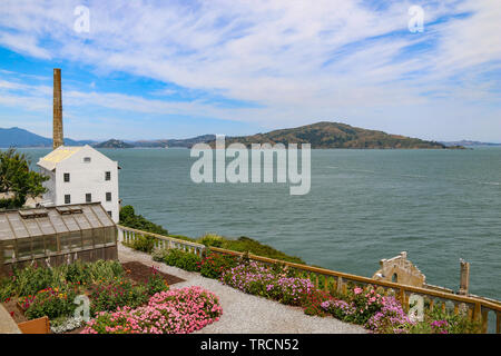 Quartermaster & Rose Garden at Alcatraz with Angel Island in the background, San Francisco Bay, California Stock Photo