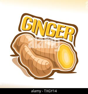 Vector logo for Ginger Stock Vector