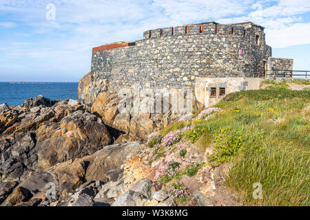 Sea thrift or sea pink on the coast beside Fort Doyle - built early 19th C as protection against a French invasion.,  Fontenelle Bay, Guernsey, UK Stock Photo