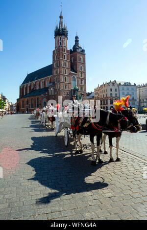 Poland, Voïvodie Lesser Poland, Krakow, Stare Miasto district, World Heritage Site, Old Town, Basilica of Our Lady of Krakow (XIV), horse drawn carriages Stock Photo