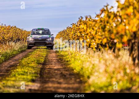 17 SALIN Daniel, SALIN Brigitte, Skoda Fabia Rally2, Aktion während der Rallye Terre de Vaucluse 2022, 6. Runde des Championnat de France des Rallye Terre 2022, vom 11. Bis 13. November in Courthézon, Frankreich - Foto Bastien Roux / DPPI Stockfoto