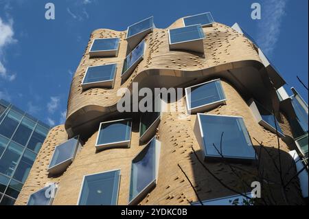 26.09.2019, Sydney, nuovo Galles del Sud, Australia, edificio del Dr Chau Chak Wing, che ospita la Business School della University of Technology UTS, desi Foto Stock