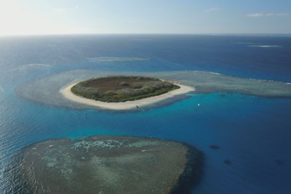 Le parc naturel de la mer de Corail a fêté ses 8 ans d'existence, vendredi 23 avril dernier.