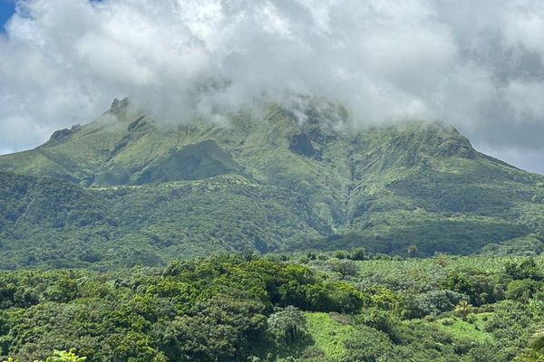 La montagne Pelée de Saint-Pierre en Martinique.