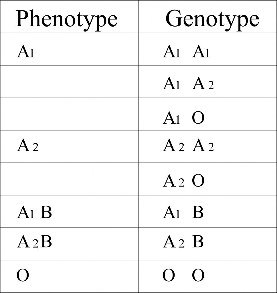 Genotype Chart Dominant Chart