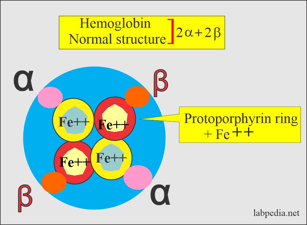 Anemia:- Part 4 - Thalassemia, α-thalassemia and β-thalassemia, Workup ...