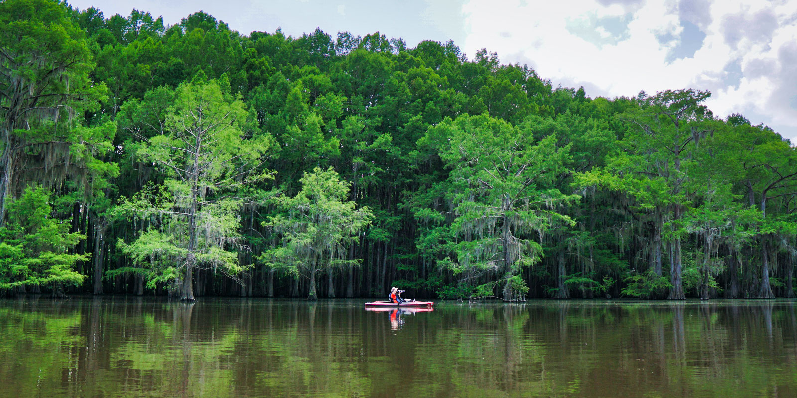 Caddo Lake Stories And Mysteries – LakeHub