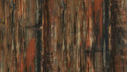 3474 Petrified Wood 180FX - Formica