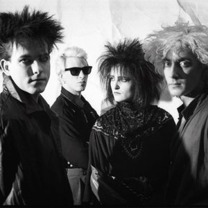 Avatar for Siouxsie and the Banshees