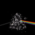 Avatar for Pink___Floyd