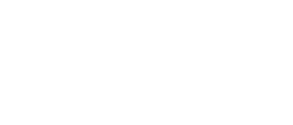 Layze Michelle Logo