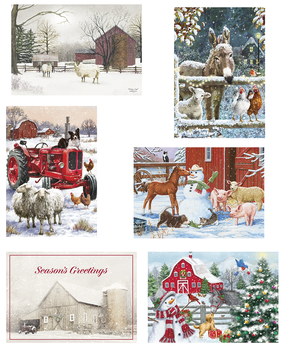 Christmas Card Value Assortment - 4 of 6 28955 - Down on the ...