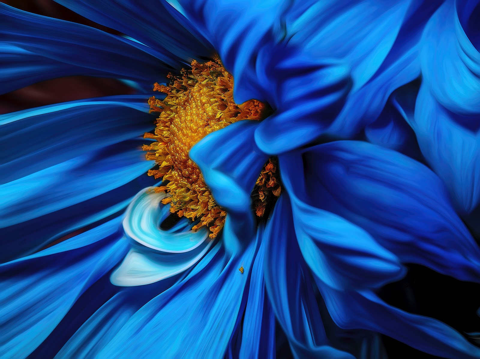 26 Flower Photography Tips: Creative Flower Bouquet & Macro