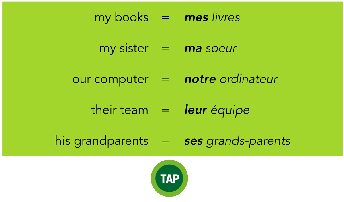 Possessive Adjectives In French Examples