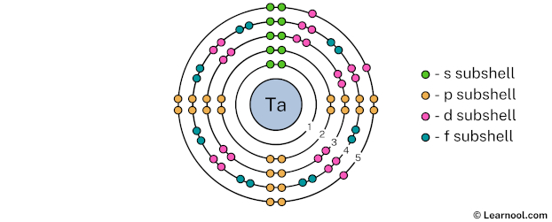 Tantalum shell 5