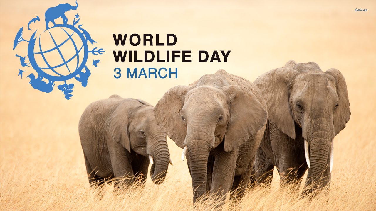 World Wildlife Day Vipul Nadiyadi