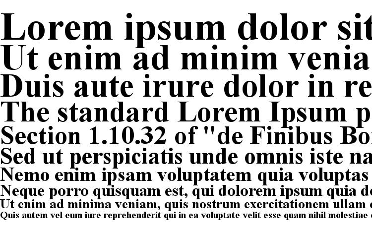 specimens Times new roman bold font, sample Times new roman bold font, an example of writing Times new roman bold font, review Times new roman bold font, preview Times new roman bold font, Times new roman bold font