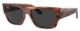 Ray-Ban Sunglasses RB0947SF Carlos 954/48