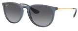 Ray-Ban Sunglasses RB4171 ERIKA 6592T3