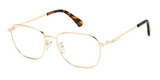 Polaroid Eyeglasses PLD D454/G 0J5G