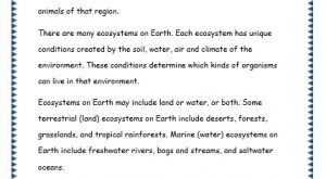 Comprehensions for Grade 3 (Ages 7 - 9) Worksheets Passage 22