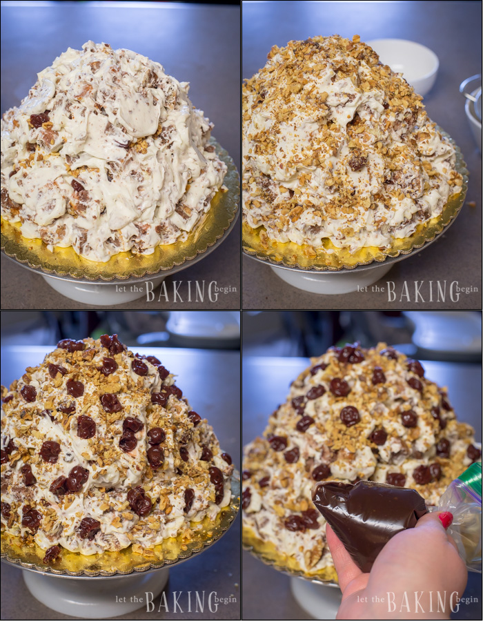  How to continue assembling marble cake by adding sour cream frosting, walnuts,and cherries.