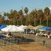 The Farmers Market at the Grove School - LocalHarvest