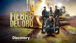 El libro de oro de la minería thumbnail