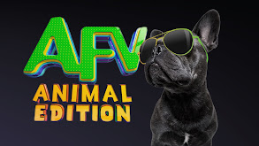 America's Funniest Home Videos: Animal Edition thumbnail