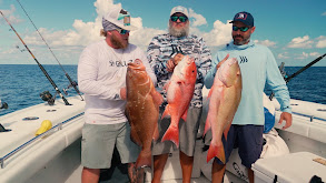 Hooking Bucket-List Fish with the Two Conchs Crew thumbnail