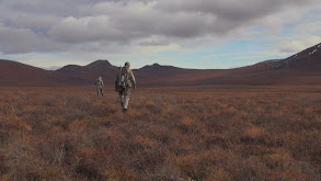 Bow Hunting Alaska Caribou thumbnail