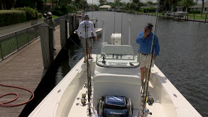 Florida Mullet, Seatrout, Snook & Jack thumbnail