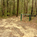 Track and sign in the Watagans (320885)