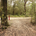 Looking at German Point Rd in the Watagans (321899)