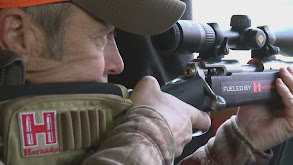 Iowa Late Season Giant Whitetails thumbnail