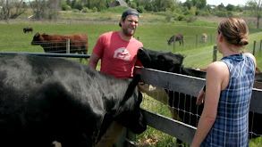 Working at the Cow Wash thumbnail