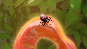 Gumglue; Scorpod thumbnail