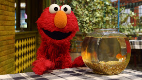 Elmo and Abby's Ocean Adventure thumbnail