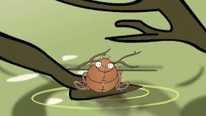 Water Beetle thumbnail