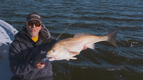 St. Simons Island Fall Redfish Run thumbnail