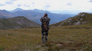 Less Than Easy: A Dall's Sheep Hunt, Part 2 thumbnail